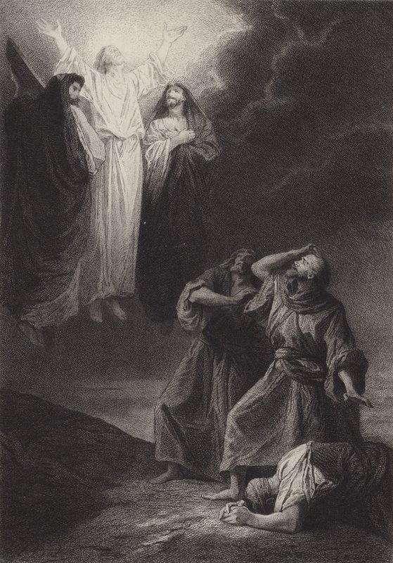 Başkalaşım by after Albert Robida