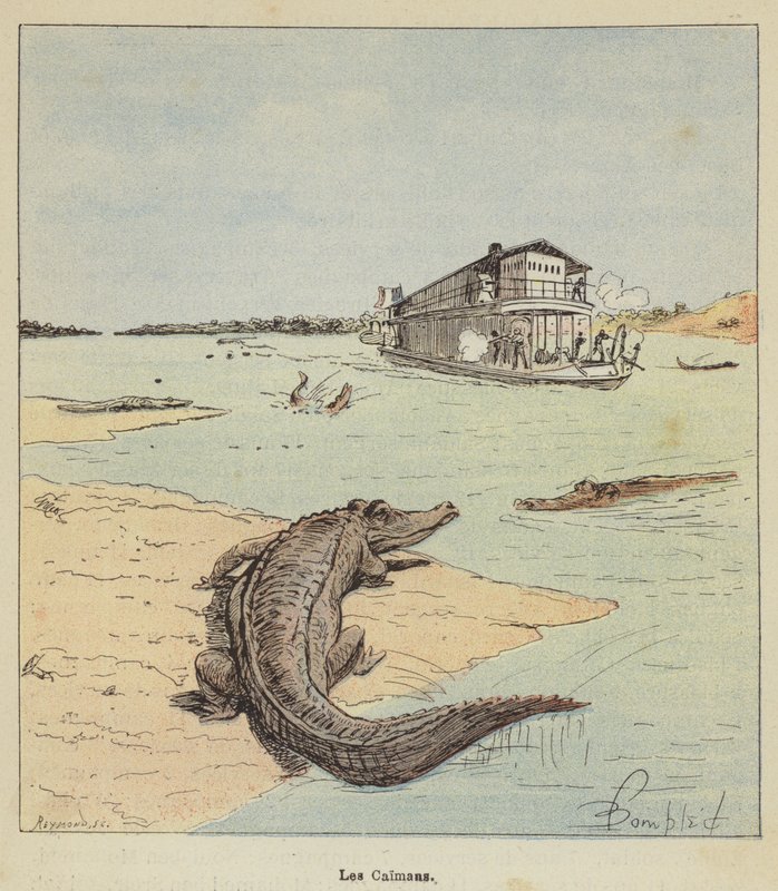 Timsahlar by after Louis Charles Bombled
