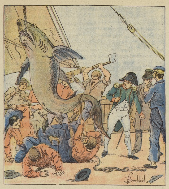 köpekbalığı yakalamak by after Louis Charles Bombled