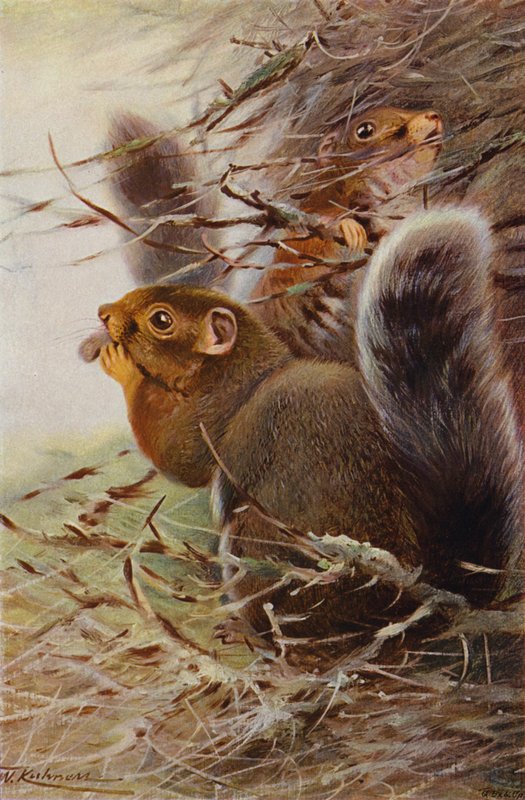 Aziz Paul Sincap by after Wilhelm Kuhnert